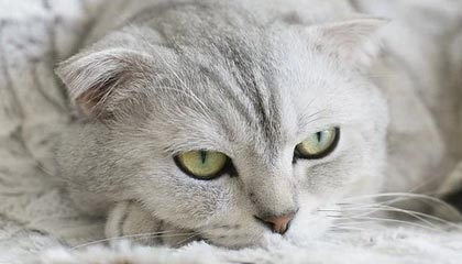 开云入口-键盘侠|乔丹带队很难不赢球！伦纳德现在是联盟前六&amp;健康能进一阵